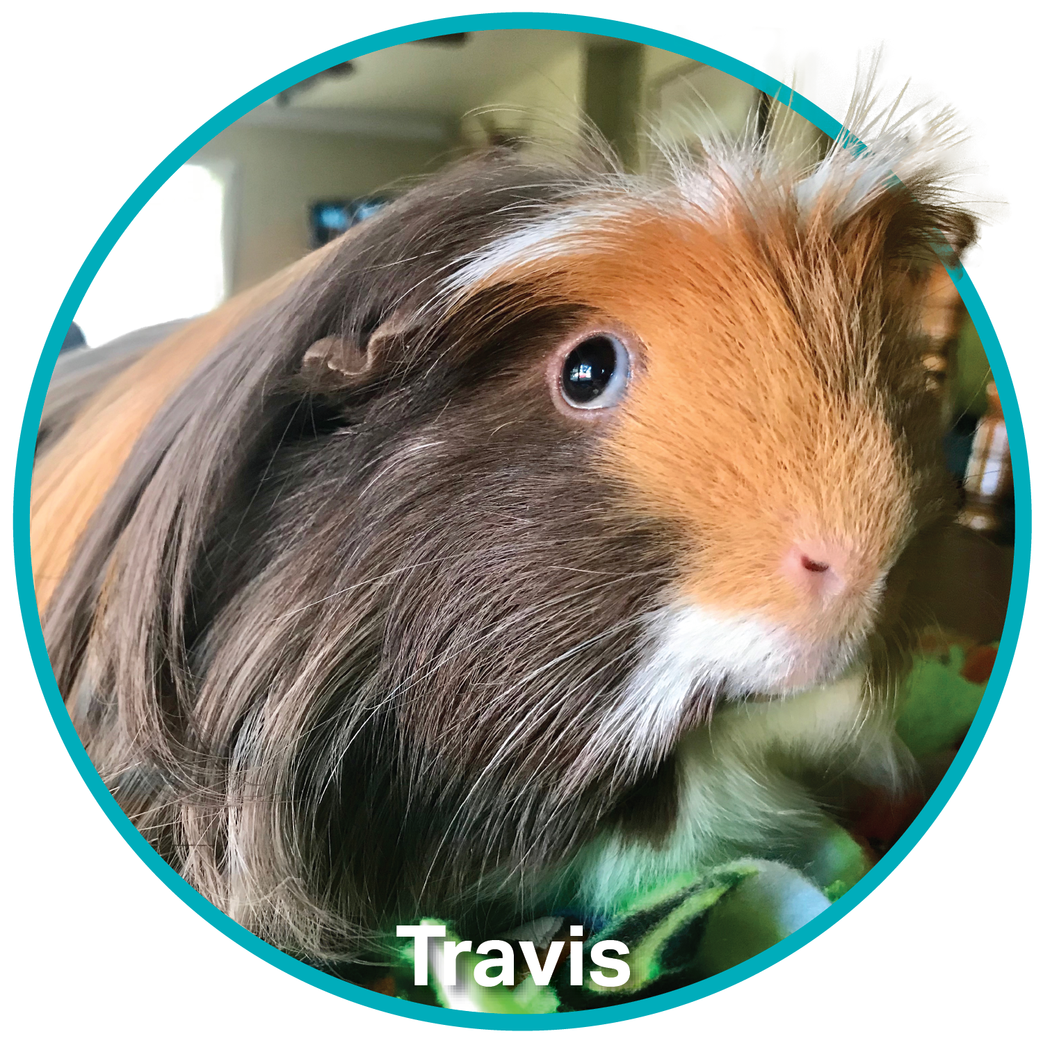 Travis-Spokespet-Cricle.png